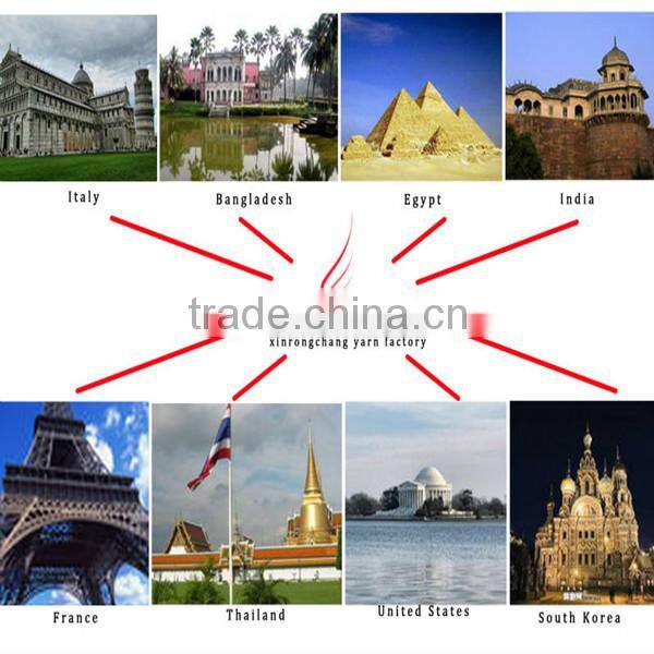 China 100% RW polyamide pun yarn price