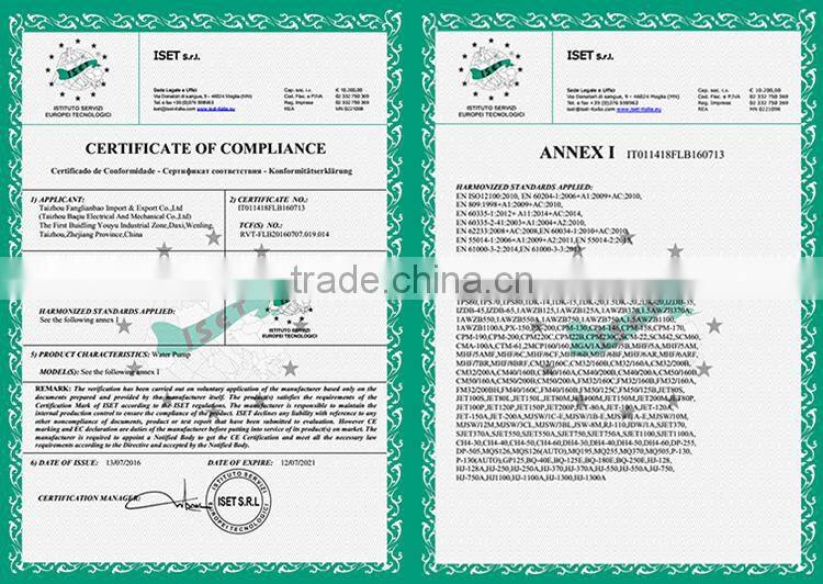 (JET60L 0.37KW 0.55HP) Taizhou Jet Water Pump Agricultural Irrigation Electric Water Pump