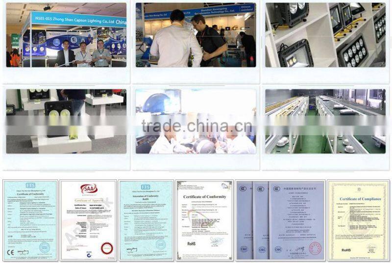 AC or DC 12V /24V IP68 1W underwater lighting with landscape lamps for led pool light