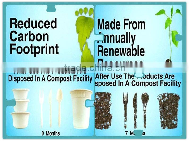 Biodegradable Compostable bento box