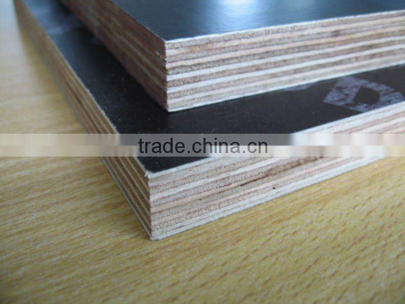 poplar/hardwood/combi film faced plywood