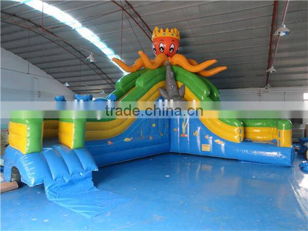 Giant inflatable water slide for kids and adults with low price
