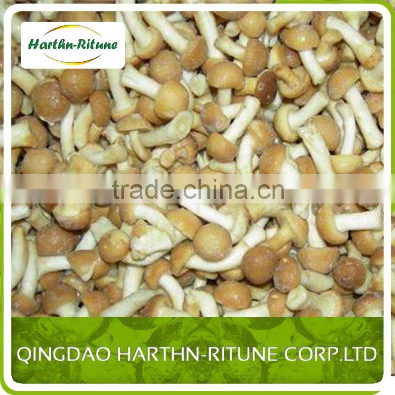 Bulk Frozen nameko mushroom nameko