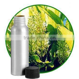 100% NATURAL Galangal Oil (Galangal Alpine)
