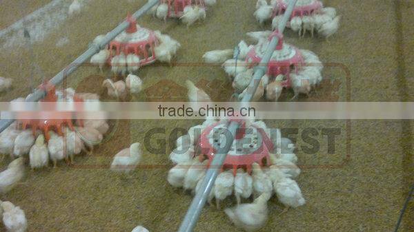chicken breeding equipment
