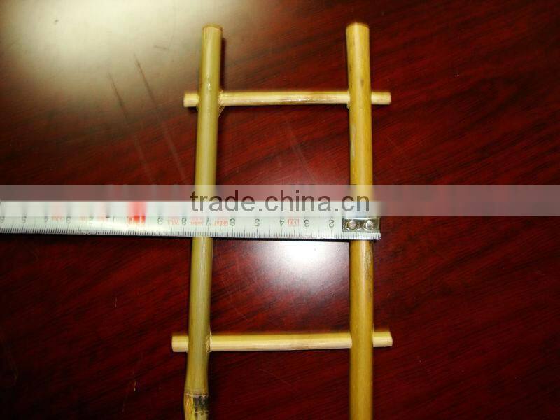 Garden supporting Bamboo Trellis