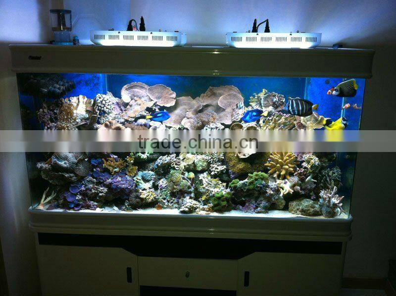 Amazing Dimmable 55*3w LED Aquarium Tanks For Coral Reef