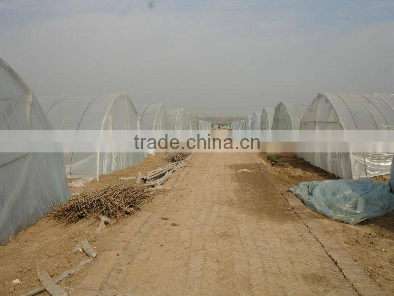UV protect anti fog Transparent Co extruded PE Cover Film PE mulch film for watermelon greenhouse