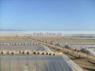 PE/LDPE/LLDPE agricultural film