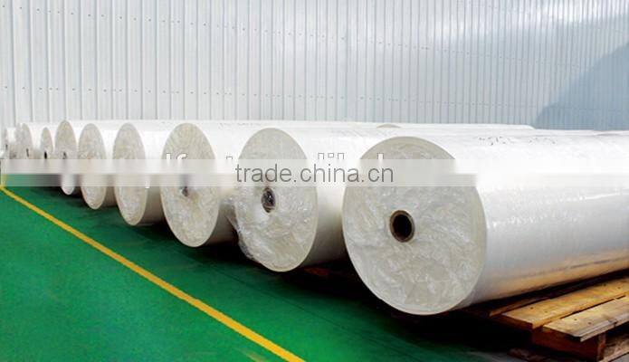 High quality silicone coated baking paper