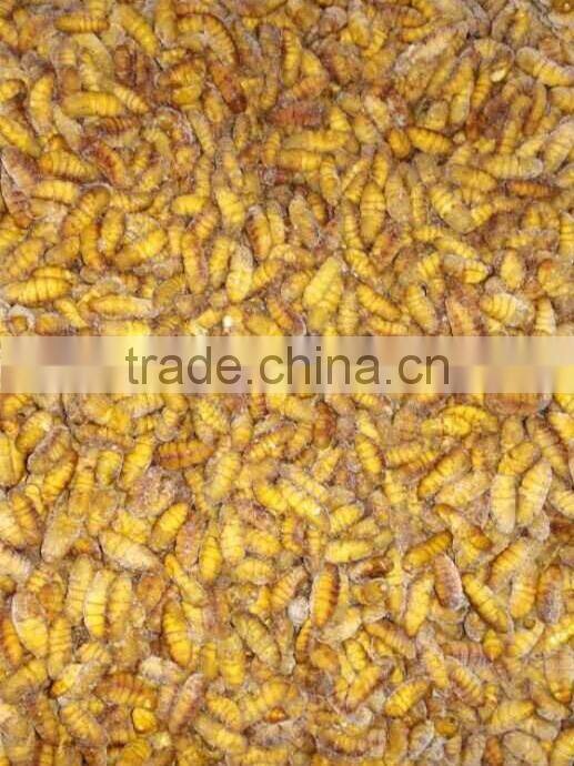 Freeze Silk Cocoon Animal Feed