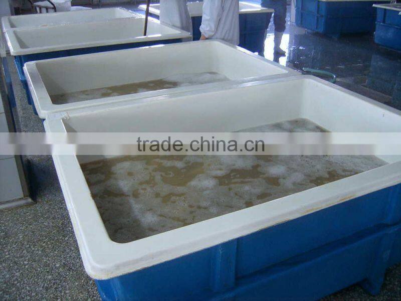 High quality Pacific squid tube (Todarodes Pacificus)