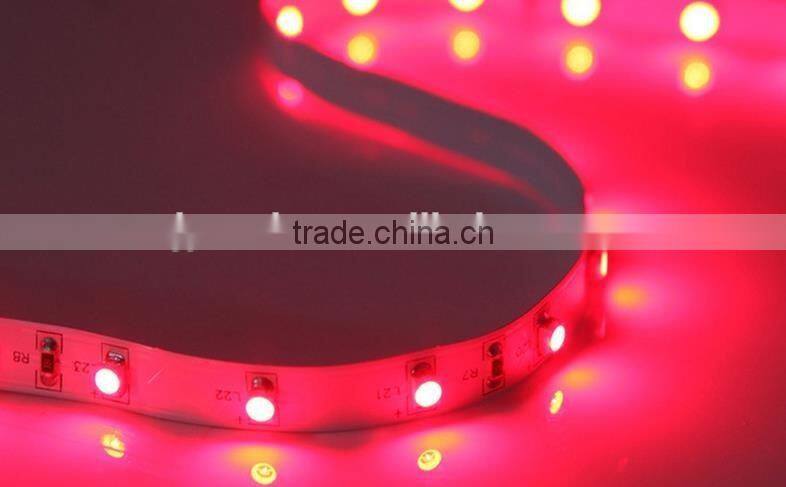 Plant growth LED lights