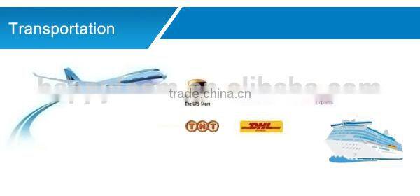 Pvc ball inflatable bouncing ball