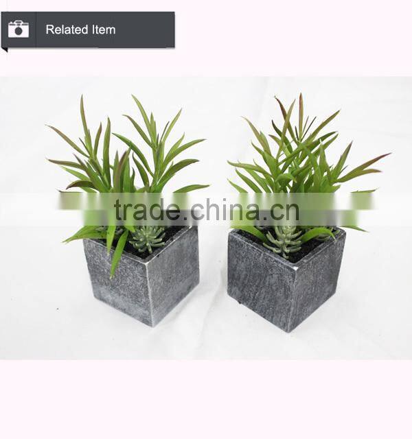 Cheap wholesale artificial succulent plants tropical plants