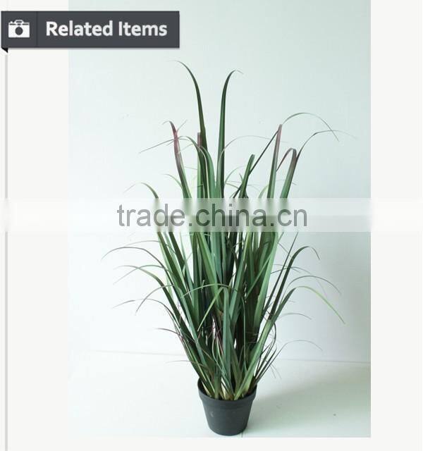 Hotsales natural cylinder onion grass for garden decoraction