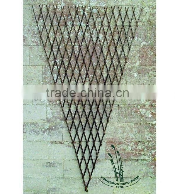 willow trellis