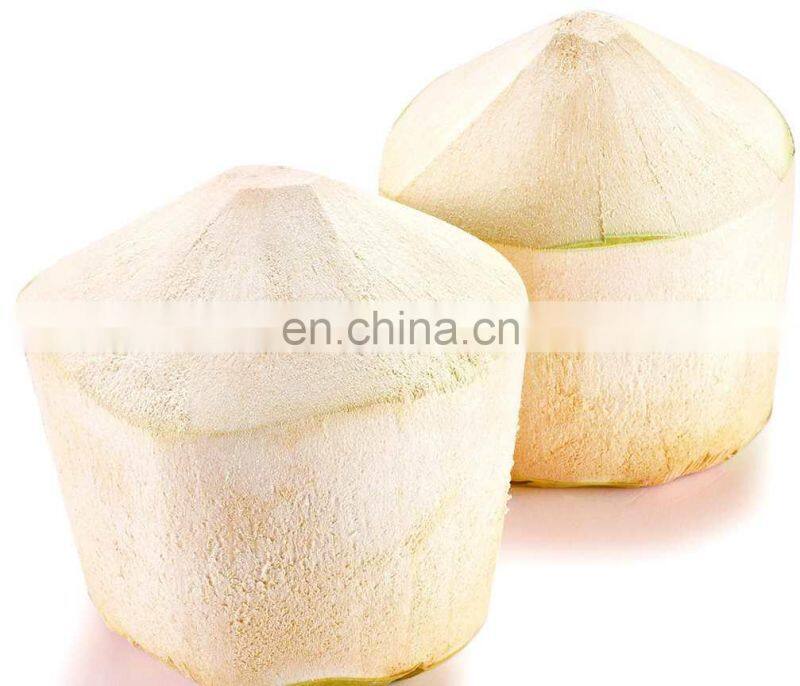 High Capacity Automatic coconut sheller machine made in China