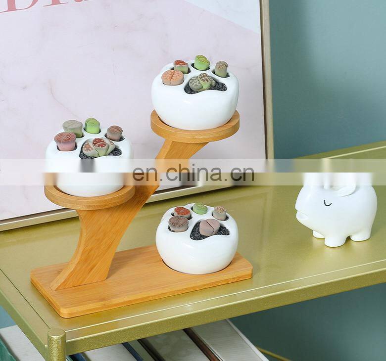 Simple White Creative Succulents Ceramic Cute Kitten Claw Treetop Planter Bamboo Stand Combination Potted Flowerpot