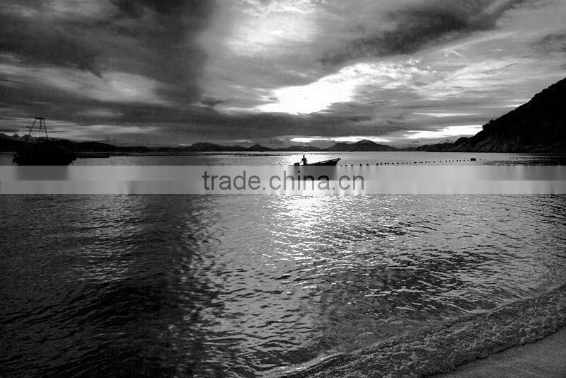 Massa Red filter 52mm High quality camera lens filter