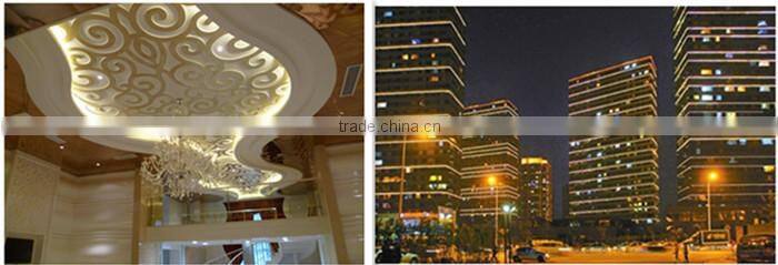 Flexible color changing led neon rope light