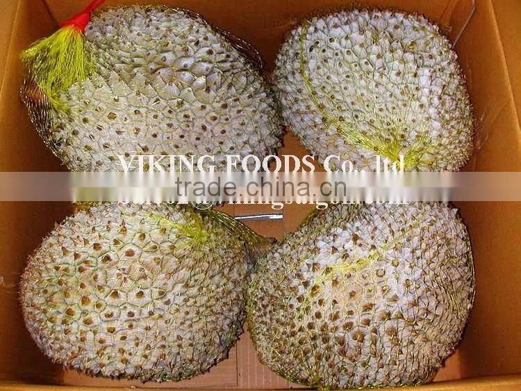 FROZEN DURIAN - GOOD QUALITY - VIETNAM