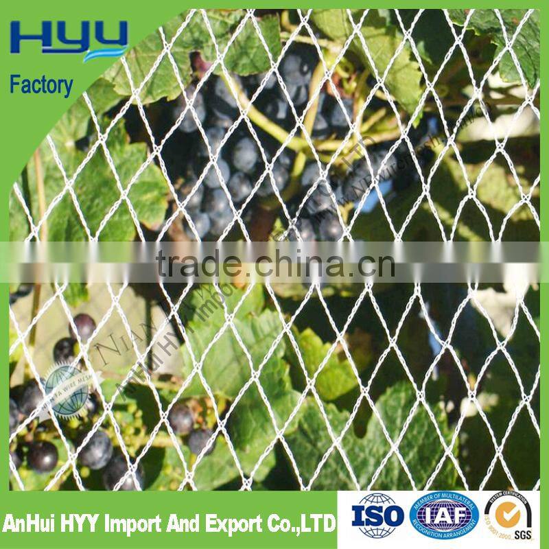 Hot sale in Europe market anti bird net