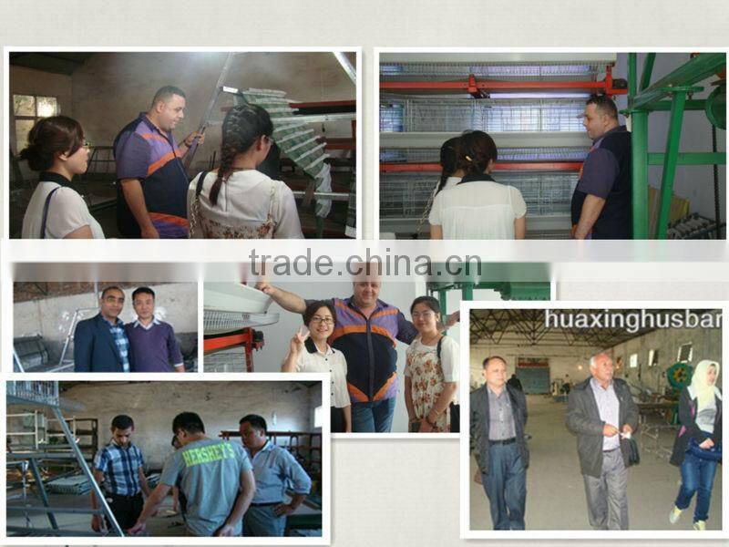 Large Animal Cage For Sale,Layer Quail Cage Used For Poultry Farming