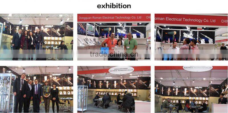 PRO Nano Titanium 1/4 inch ionic generator 450 degrees Flat Iron