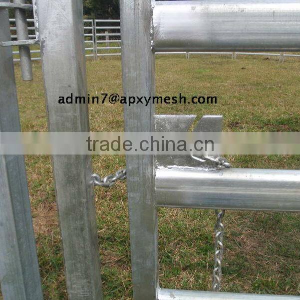 Cattle Panels livestock yard for Australia standard (factory)