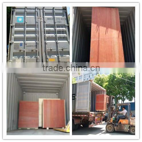 YK Series Pharmaceutical Oscillating Granulator