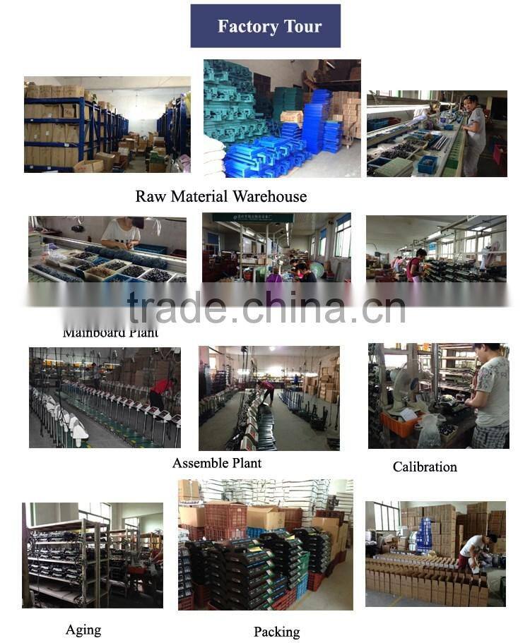 TCS Stainless Steel Electronic Platform Weighing Scale