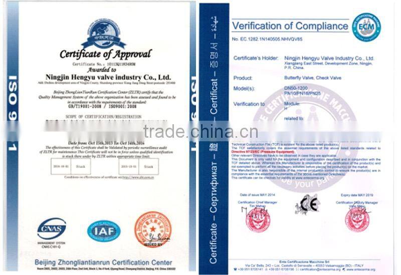 wafer butterfly valve with worm gear manufacturer