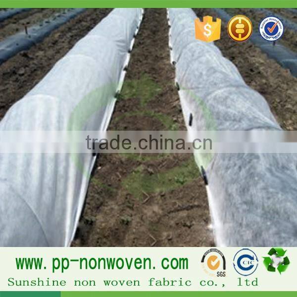 WEED CONTROL FABRIC ROLL 50gsm 50 X 2M