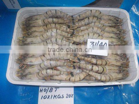 FROZEN HEAD ON BLACK TIGER SHRIMPS
