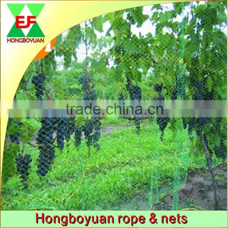 agriculture anti bird net, bird mist net ,mist bird catching net