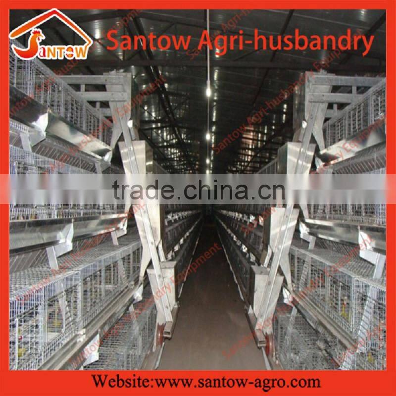Automatic chicken egg layer cages poultry cage poultry farming equipment for sale