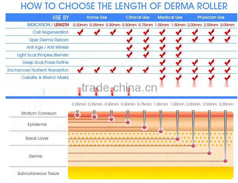 NL-DRS540most portable skin care fine titanium micro needle derma roller medical Skin Roller system