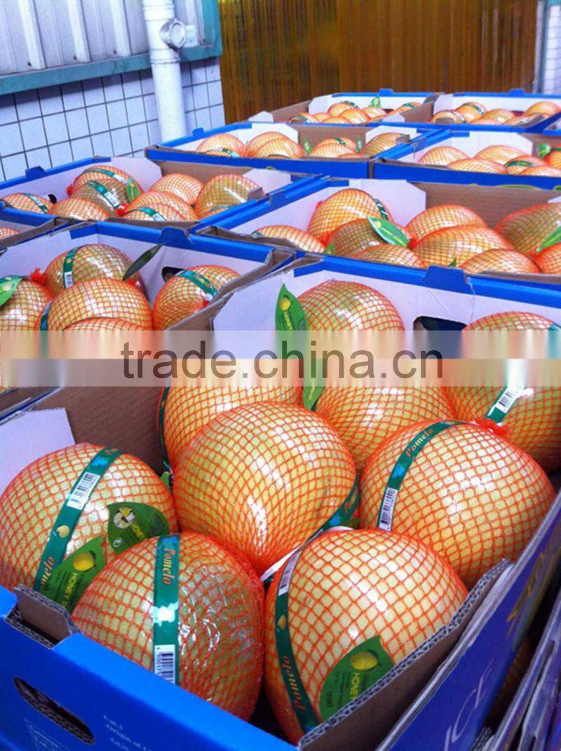 Fresh red pomelo