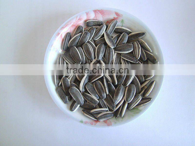 Bulk New Crop Striped Common American Sunflower Seeds