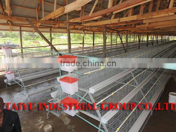 TAIYU Farm Poultry Equipment (Agent and warehouse in foreign countries, visit customers every year)
