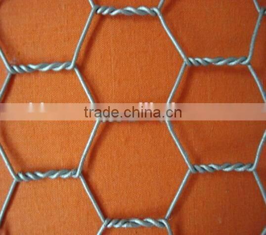 Low cost hexagonal netting /chicken wire mesh/ poultry hexagonal netting for sale