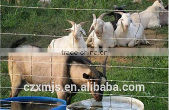 Livestock metal fence panels, deer fence