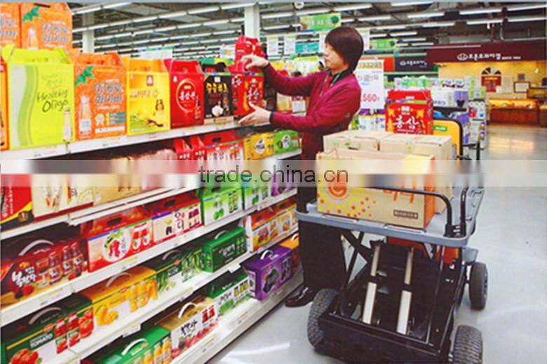 SUNEV ELECTRIC CARRIER