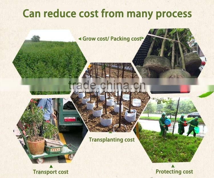 customized weight non woven tree and plant grow bag,planting bags, tree planting bag
