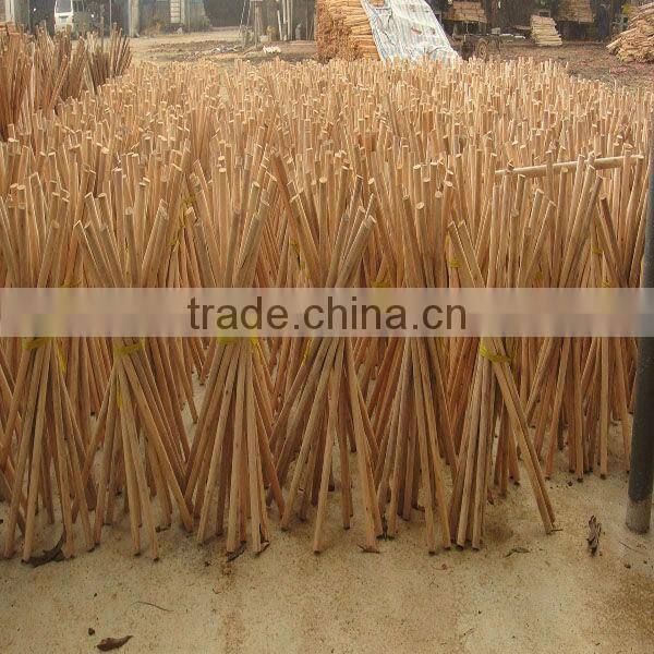 Natural tool handle for brush