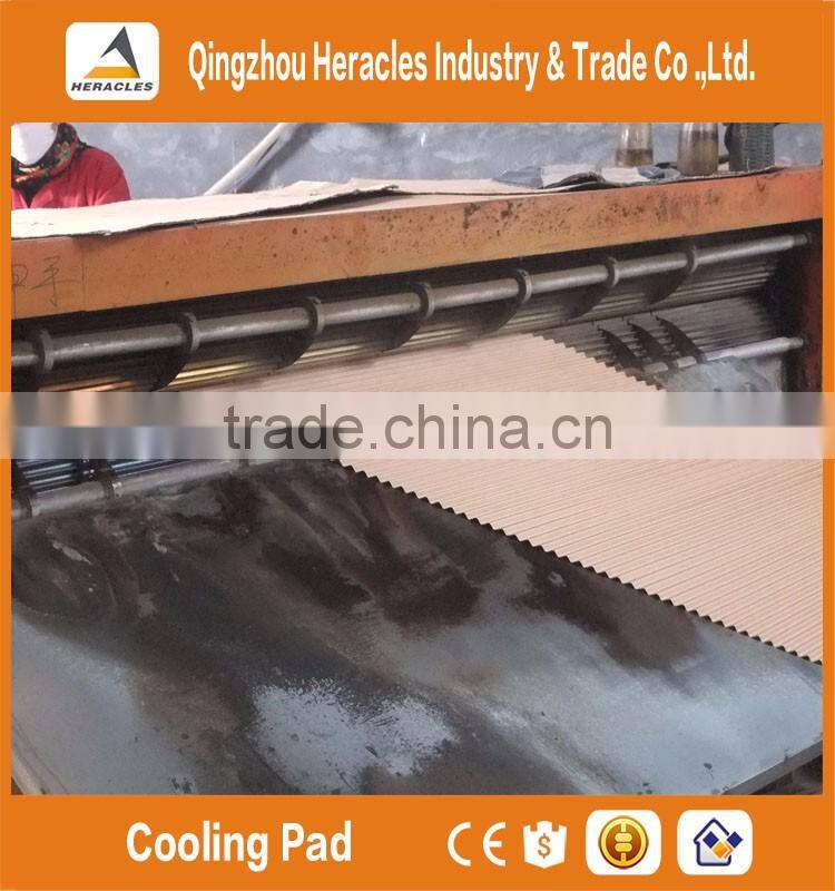 Alibaba China trade assurance pad and fan greenhouse cooling systems for poultry farm and greenhouse