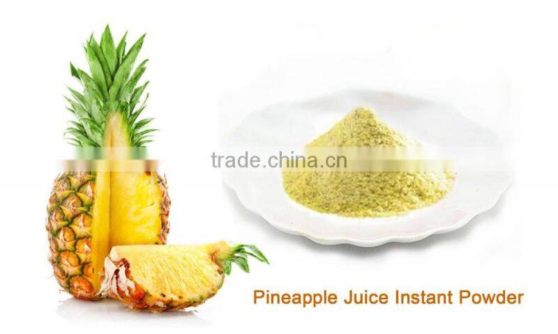 Instant Fruit Juice Powder in Bulk Packing & Small Packing