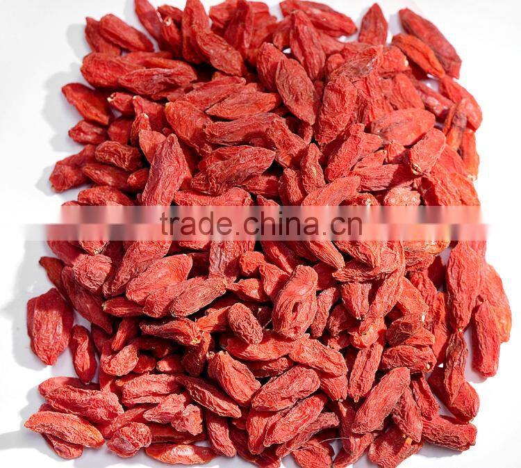 Organic Wolfberry (Gouji Berry) in bulk or triangle teabags