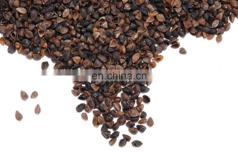 Buckwheat Hulls Meditation Cushion